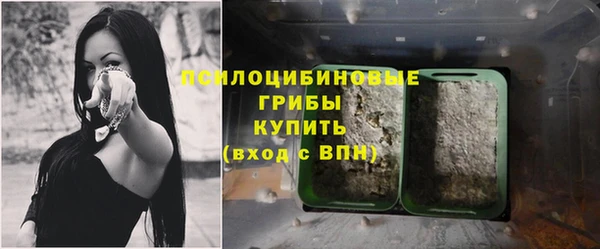 тгк Аркадак