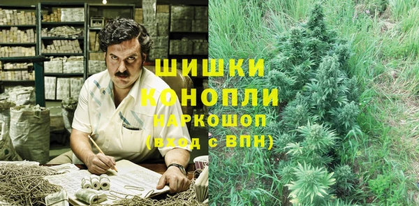 apvp Арсеньев