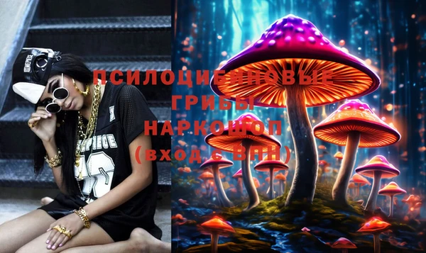 apvp Арсеньев