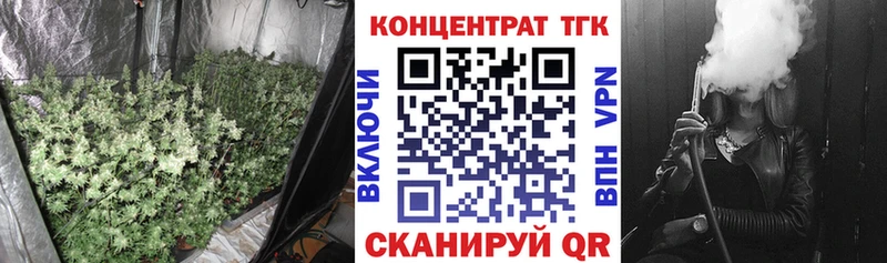 мега вход  цены наркотик  Ленинск-Кузнецкий  ТГК жижа 