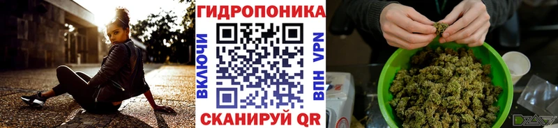 Бошки Шишки Amnesia  Ленинск-Кузнецкий 